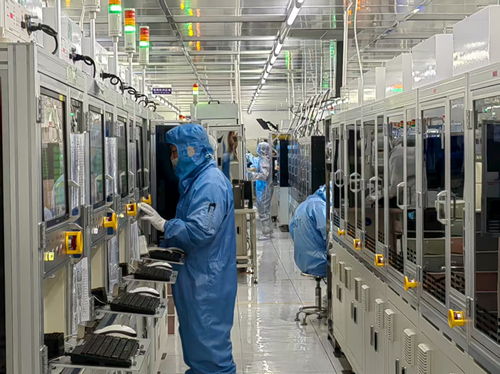 金融活水悉心澆灌，技術服務護航民營經濟滿帆前行